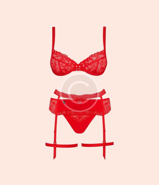 Scarlet lace garter set