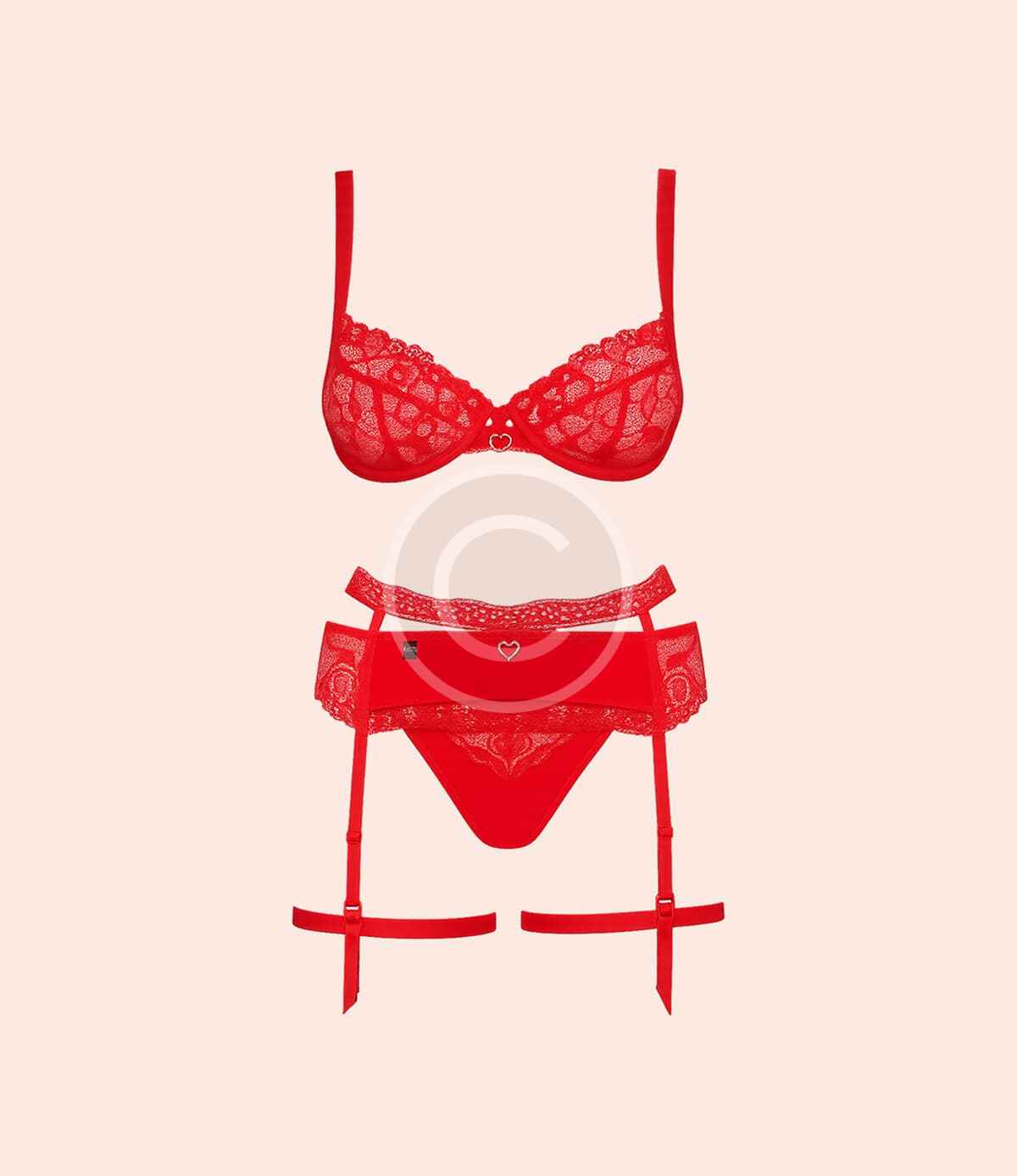 Scarlet lace garter set